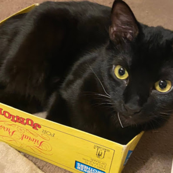 Meet your Posher, Lisa - Picture 1 of 1